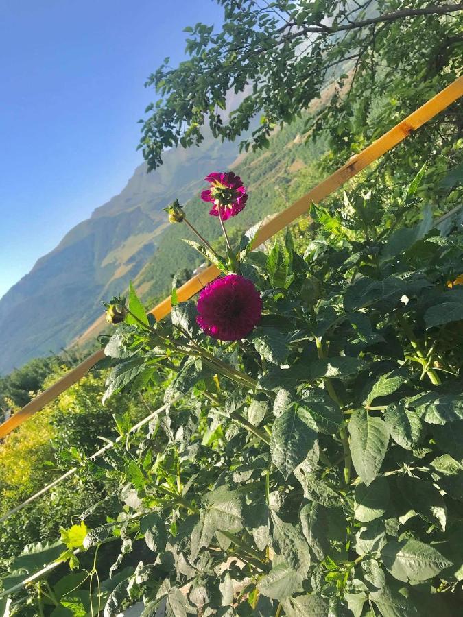 Bed and Breakfast Ana-Maria Bnb Tatev Zewnętrze zdjęcie