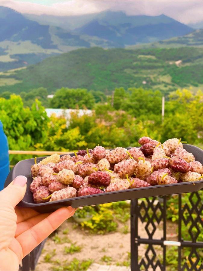 Bed and Breakfast Ana-Maria Bnb Tatev Zewnętrze zdjęcie