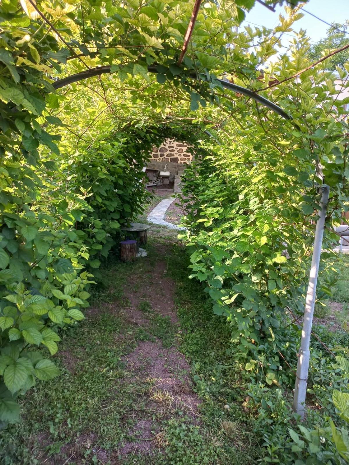 Bed and Breakfast Ana-Maria Bnb Tatev Zewnętrze zdjęcie